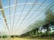 Прозрачный пластиковый шифер, плоский, 2.0м, Бесцветный Poly-p-green-(07) фото 9